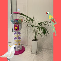 ブログ