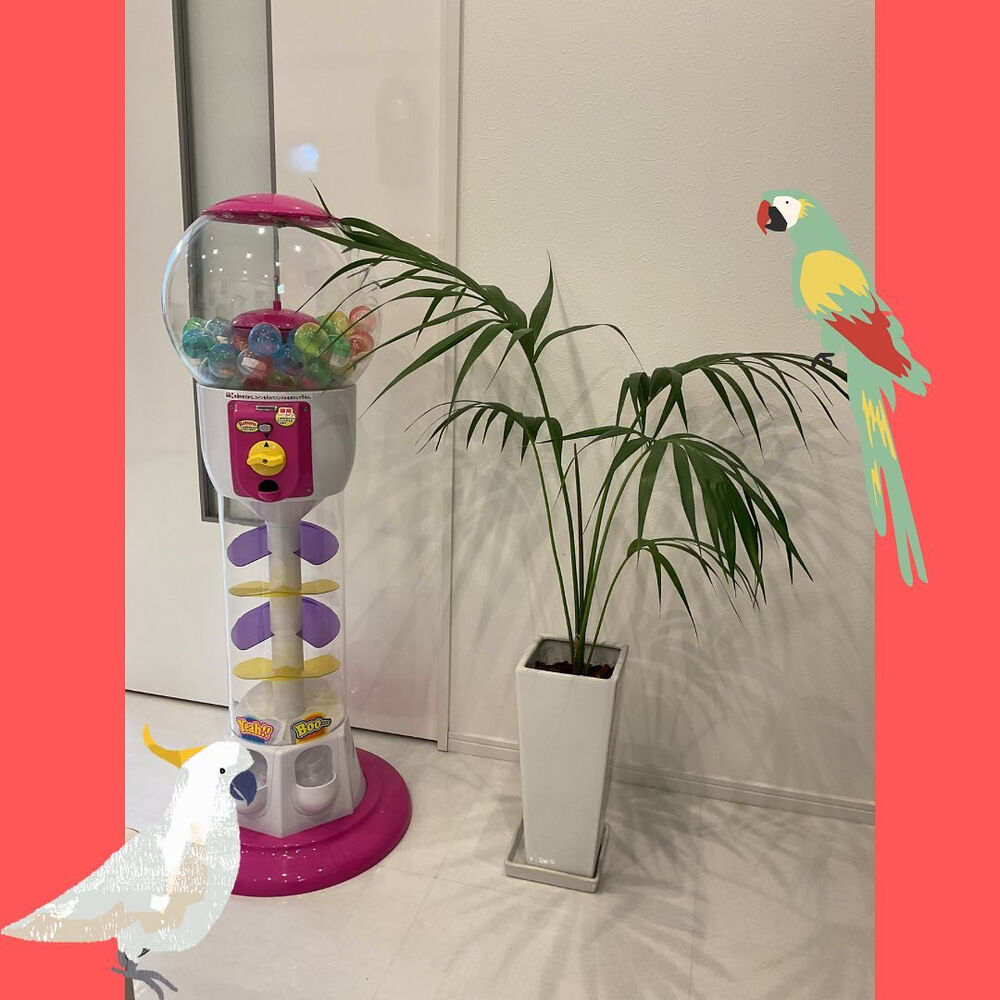 ブログ